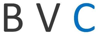 Björn Vortisch Beratung Logo